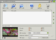 Easy MPEG to DVD Burner screenshot